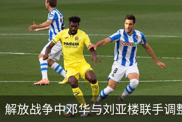 解放战争中邓华与刘亚楼联手调整战略，毛主席的智慧反应